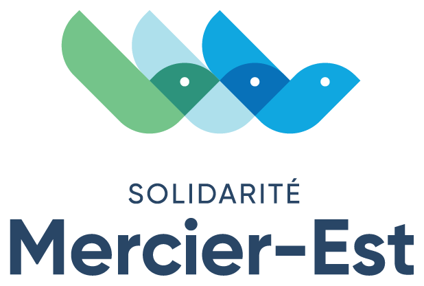 SME Logo V Couleurs