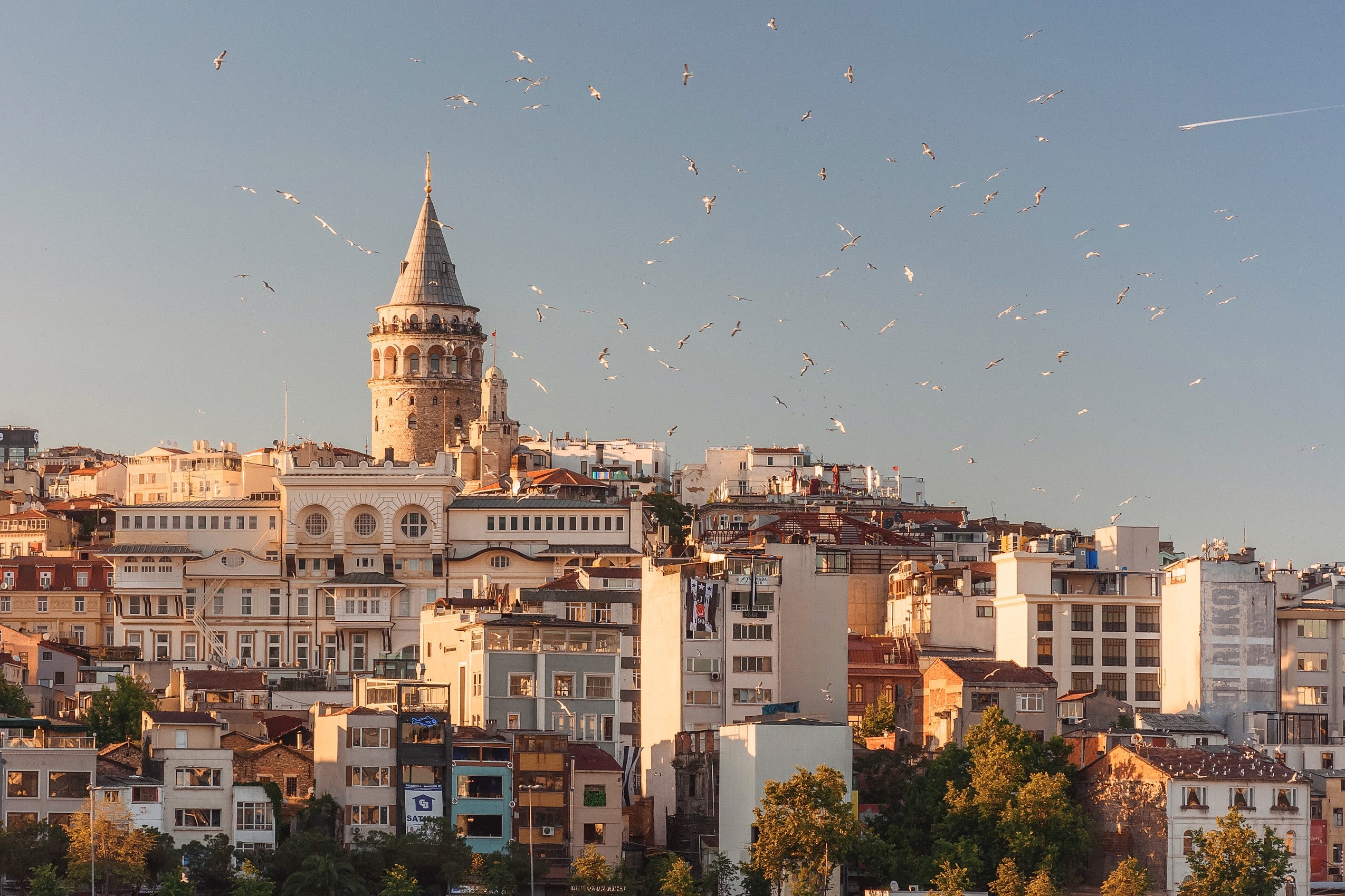 anna-0n0AHB1fgTQ-unsplash – Le Chez-Nous de Mercier-Est